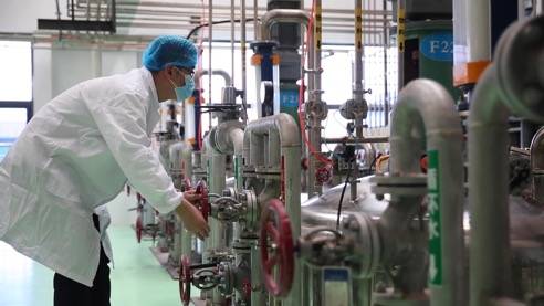 責任民企顯擔當，靠上服務助復產——泰安生物技術企業馳援抗疫一線